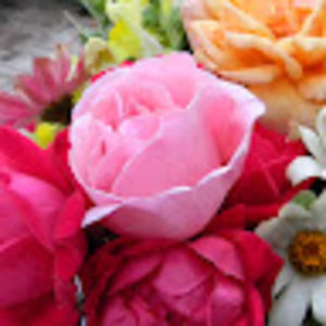 Meet your Posher, Bethany